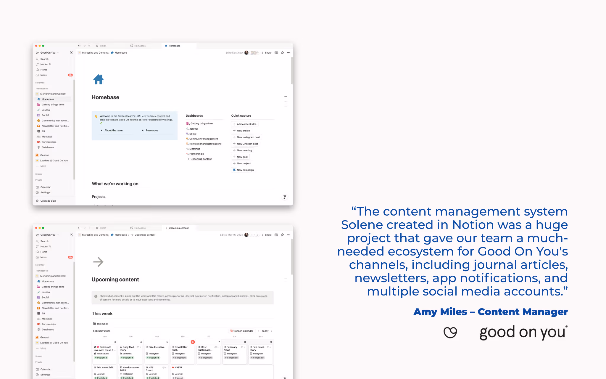 Content and Marketing System
